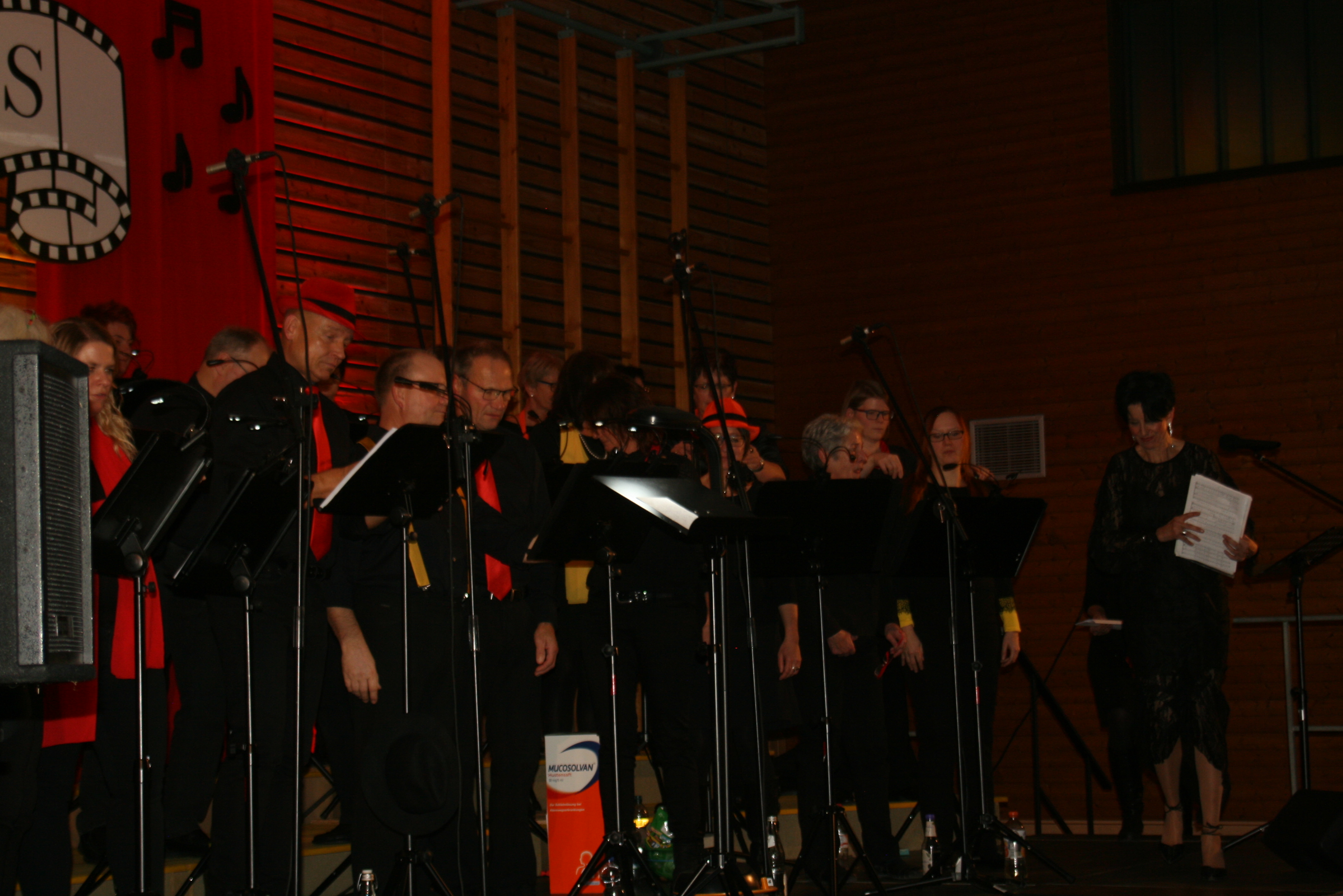 Bilder Grenzenlos Konzert 2019 Langenbeutingen 048